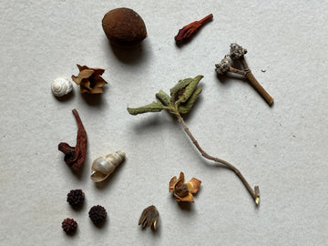 Dalla Natura al Gioiello - Botanical Jewellery Workshop