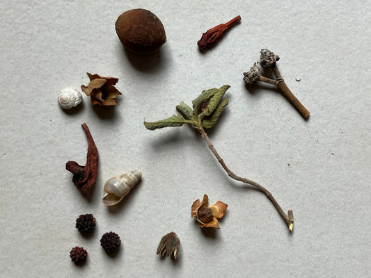 Dalla Natura al Gioiello - Botanical Jewellery Workshop