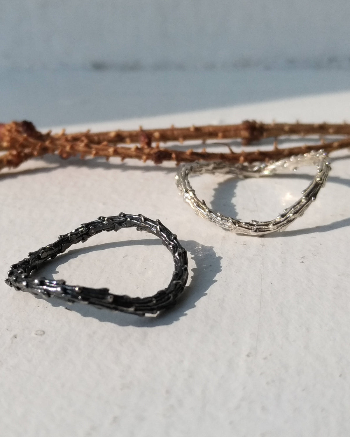 two organic silver rings one with black oxidation and branches of pine tree in the background