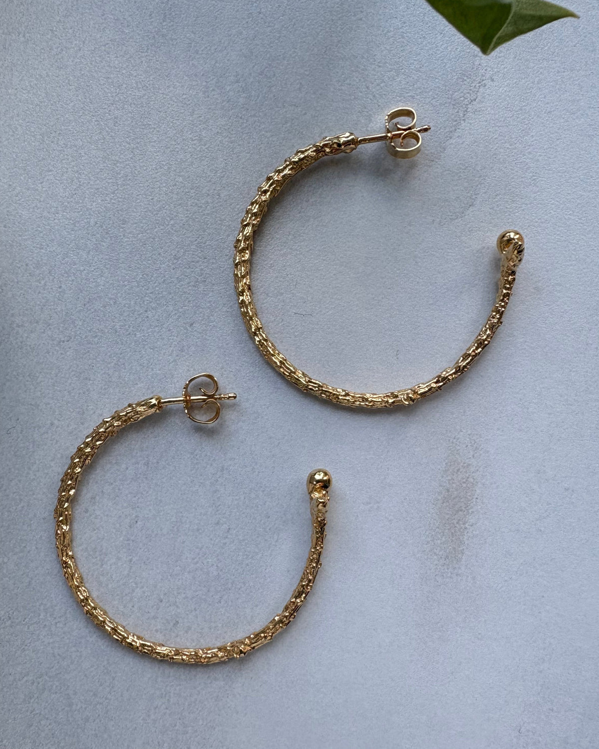 Gold hoop earrings on a light blue background