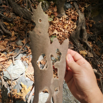 Nature has always been at the heart of our story.&nbsp;